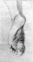 B230645