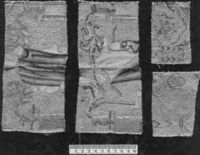 B231560
