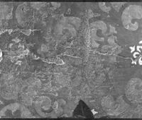 B231658