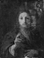B233366