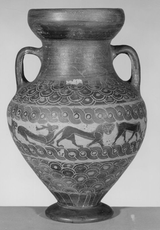 Amphore etrusco-corinthienne