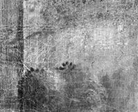 B235993