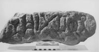 B236544