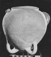 B236546