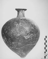 B236550