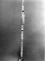 B236710