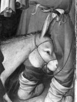 B236836