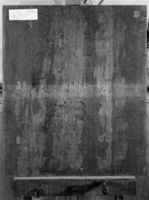 B236892