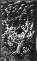B237307