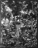 B237308