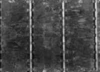 B237316