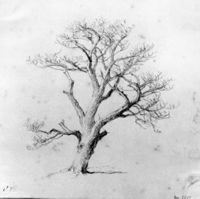 B237460