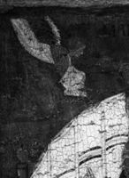 B237529