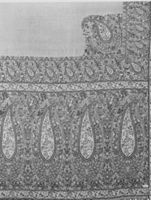 B237795