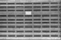 B237806