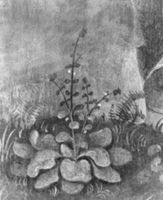 B238266