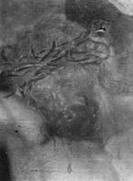 B238841