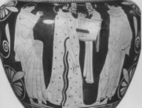 B239558