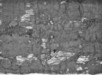 B240032
