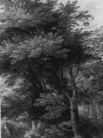 B240182