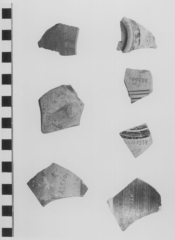 Fragment de panse; décor végétal et bande
