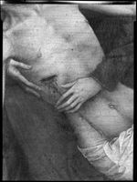 B240445