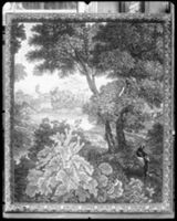 C000196
