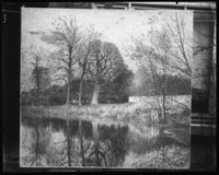 C001895