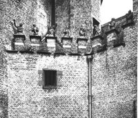 C002516
