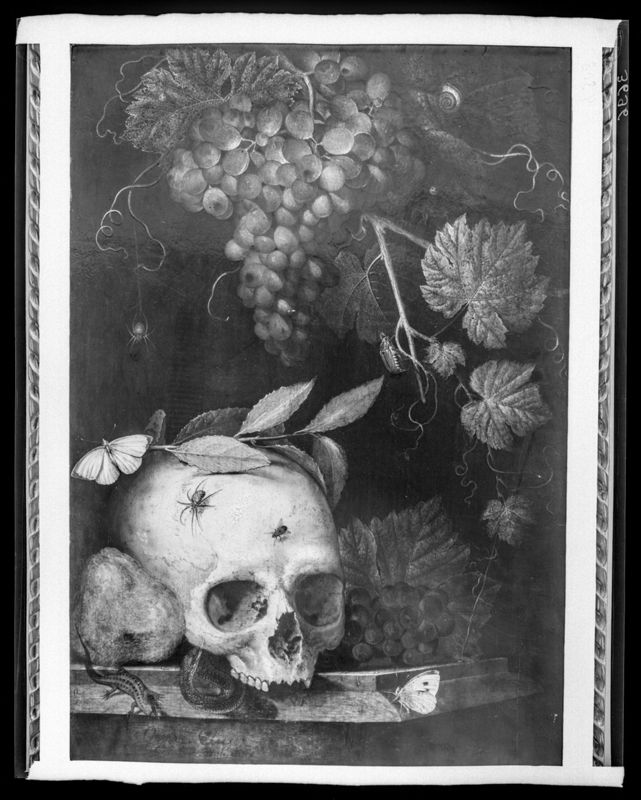 Vanitas
