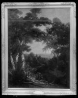 C004603