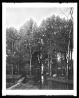 C005795