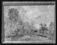 C005860