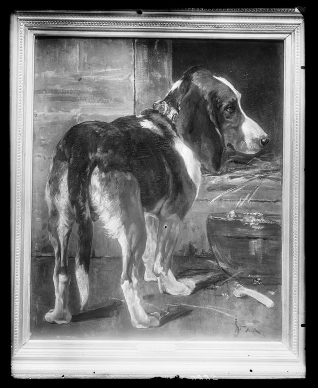 Le basset