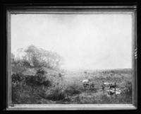 C005894