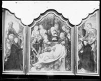 C006113