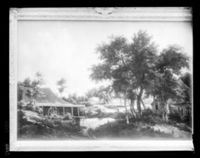 C006129