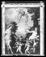 C006306