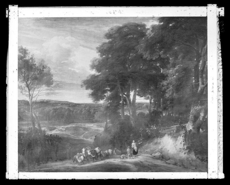 Landschap