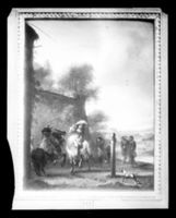 C006425