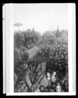 C006682