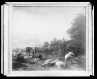 C007118