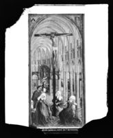 C007447