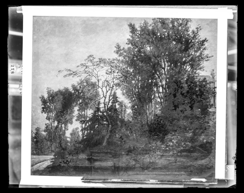 Landschap