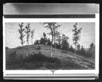 C007476