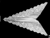 D000421