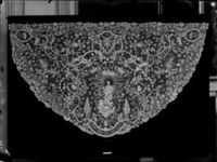 D000576