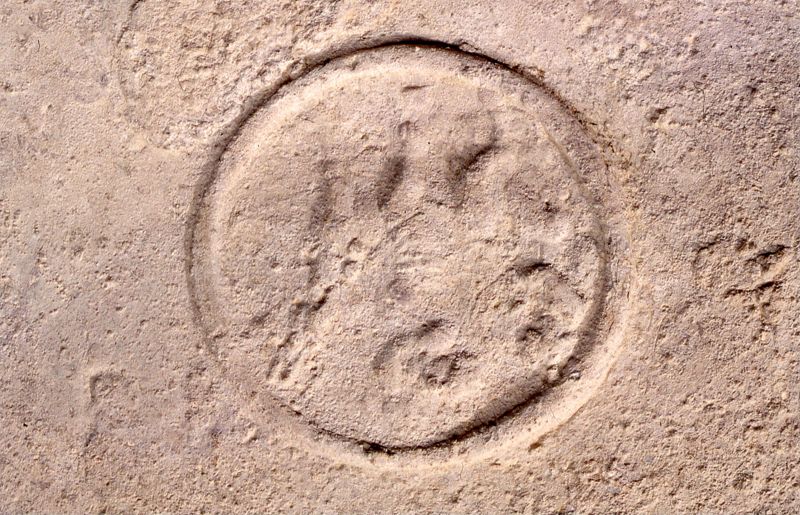 sarcophage de la nécropole romaine de la rue Perdue