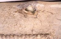Di070784
