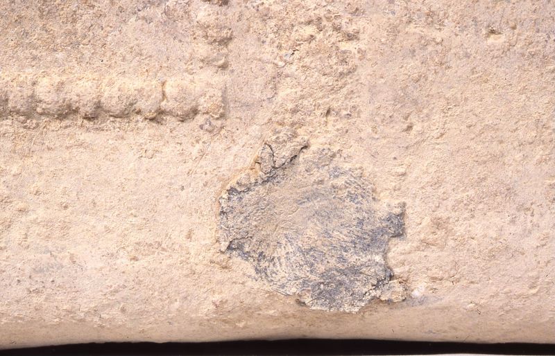 sarcophage de la nécropole romaine de la rue Perdue